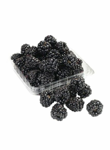 Blackberry - 170 g / pack