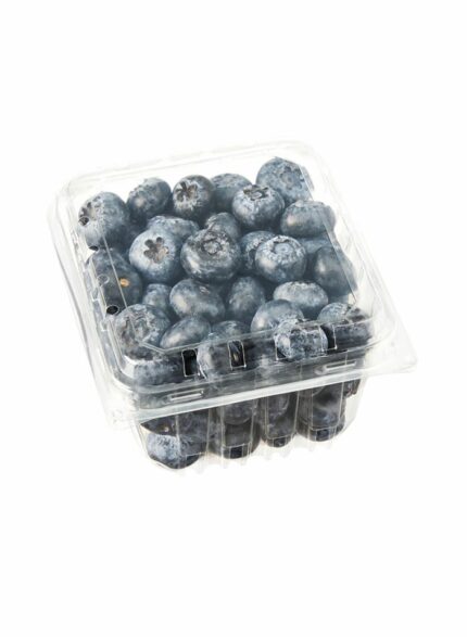 Blueberry - 170 g / pack