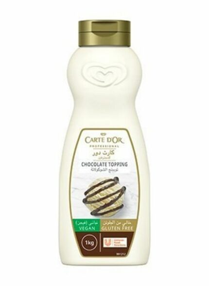 Carte D'OR Dessert Chocolate Topping - Box of 6 Pieces - 1 kg