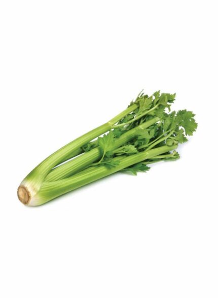 Celery Holland - 1 Kg