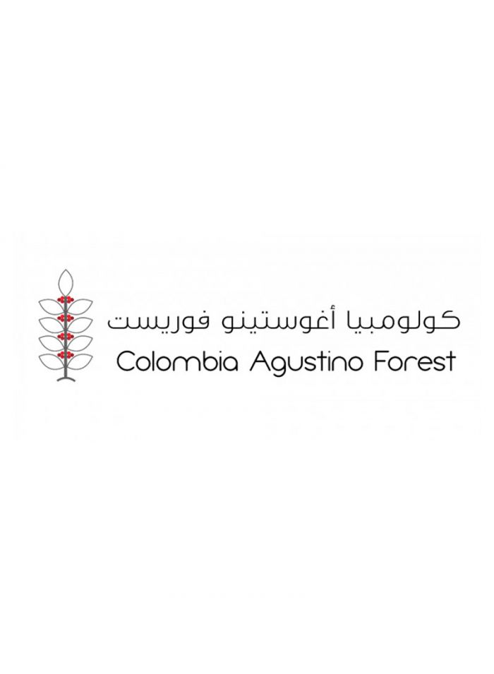 Colombia Agustino Chemex Coffee - 907G