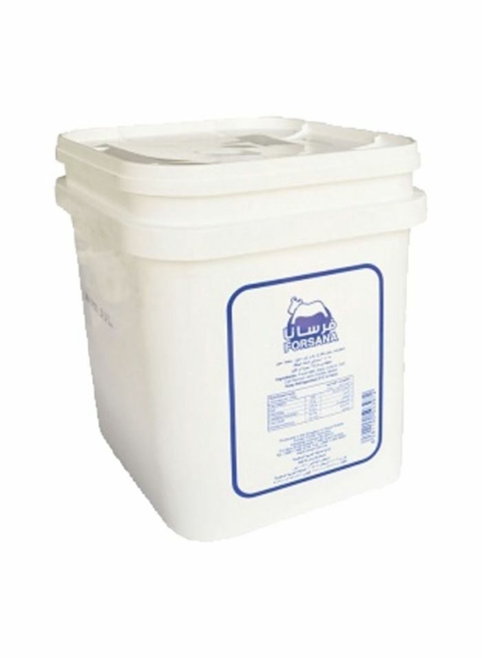 Cone Zone Strawberry Ice Cream - 5 ltr