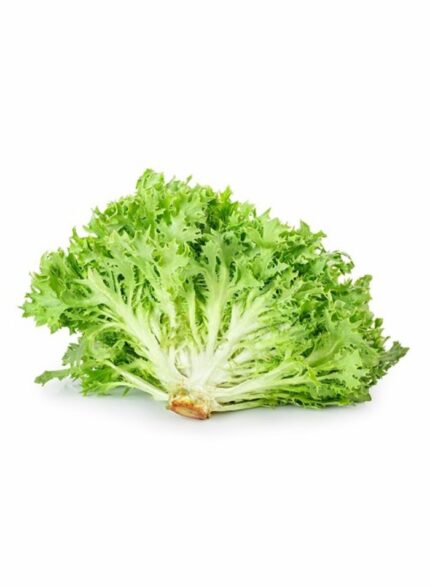 Frisee Green Lettuce - 1 Kg