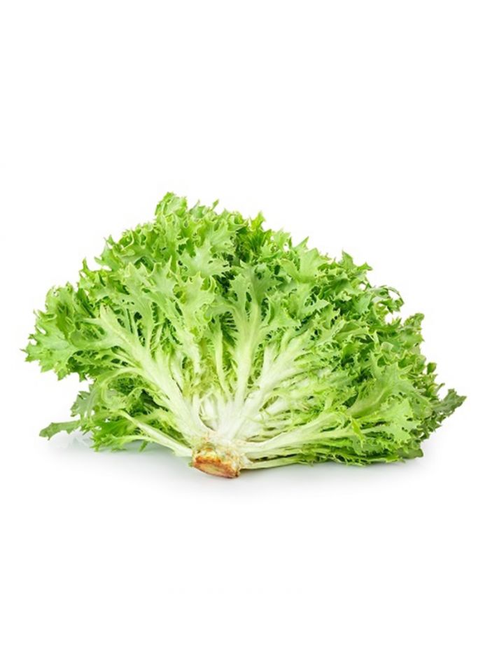 Frisee Green Lettuce - 1 Kg Frisee Green Lettuce - 1 Kg