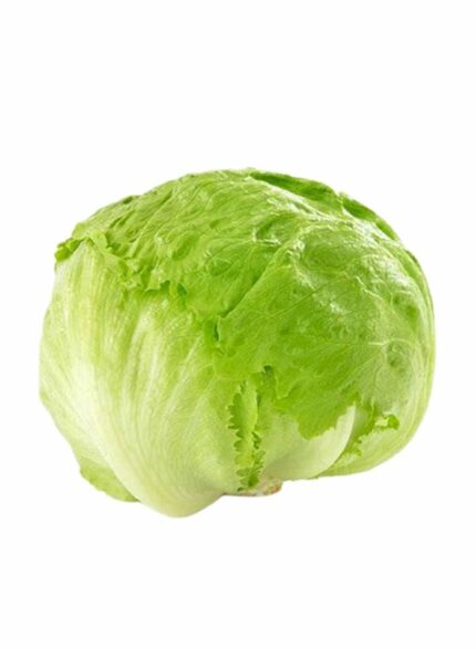 Iceberg Lettuce - 1 Kg