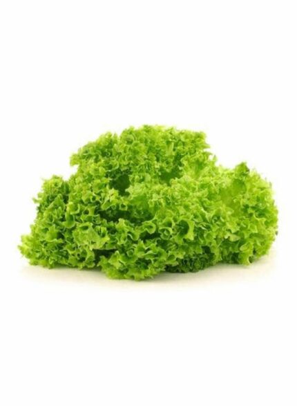 Lollo bindu lettuce Local - 1 Kg