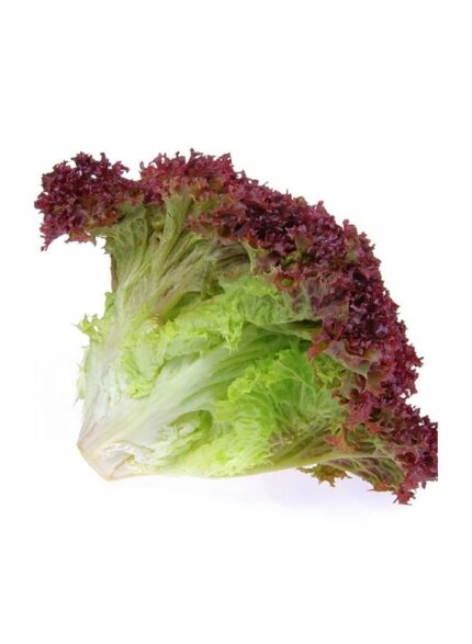 Lollo rosso Lettuce Local - 1 Kg