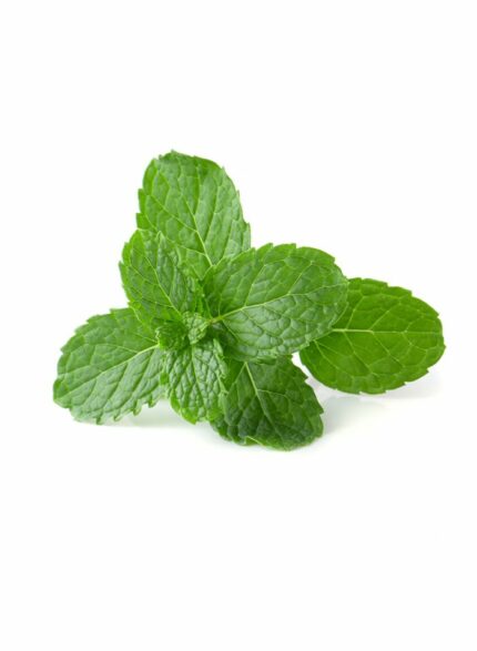 Mint - 1 Kg