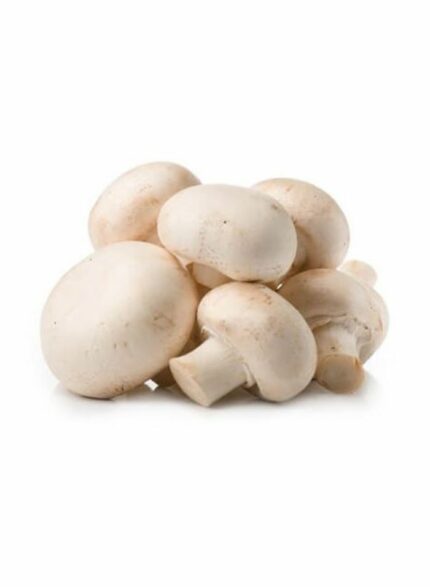 Mushroom Giant - 1 Kg