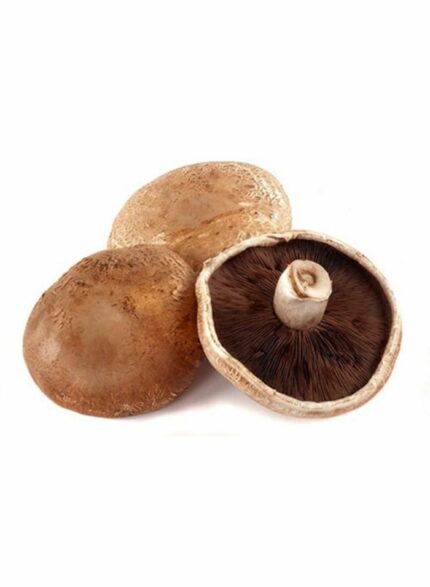 Mushroom Portobello - 1 Kg