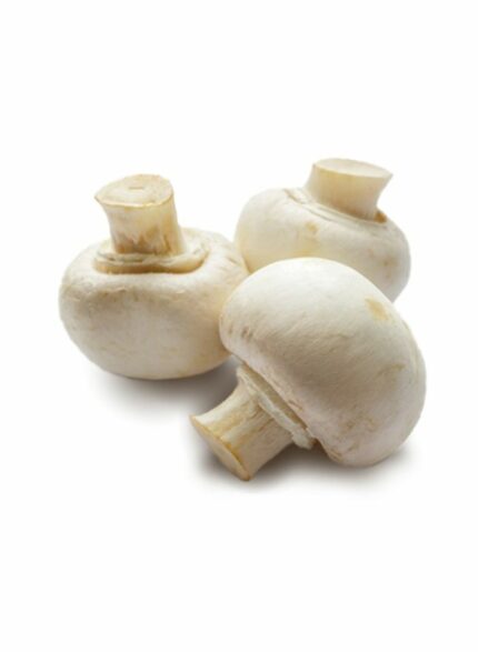 Mushroom White Button - 1 Kg