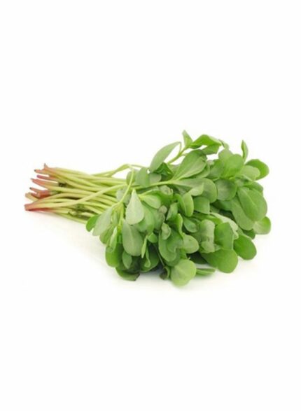 Regla - 1 Kg
