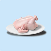 chicken
